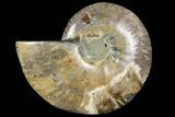 Agatized Ammonite Fossil (Half) - Crystal Pockets #114930-1